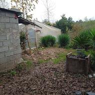 250 متر باغ به همراه یه گلخونه در مازندران عباس آباد پسنده