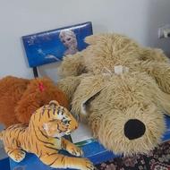 عروسک پولیشی خرس