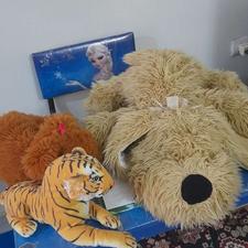 عروسک پولیشی خرس