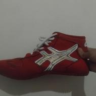 کفش کشتی سال