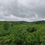 لوکیشن طلا ، ویو ابدی و درجه یک