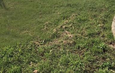 زمین مسکونی بهشهر جاده دریا چهار فصل