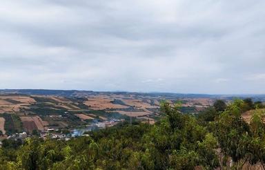 فروش باغ هلو ،میاندرود