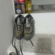 کفش مخصوص کوه نوردی