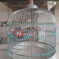 قفس طرقه زیبا