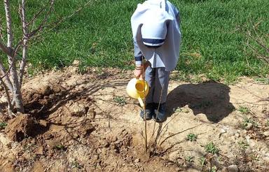 زمین کشاورزی