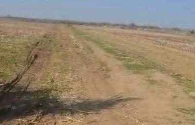 فروش زمین کشاورزی 2هکتاری در میانده