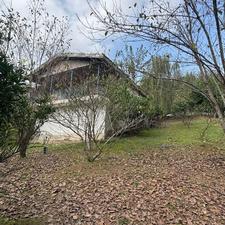 2450 متر زمین با خونه قدیمی جنگلی در بابلکنار