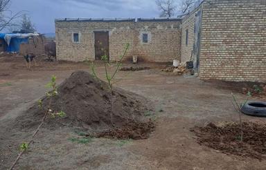 1200متر دامداری