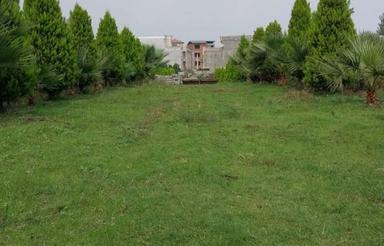 زمین باغی 1000 متری متراژ مختلف موجود میباشد