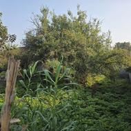 #مازندران#میستان#فروشی#جویبار#مسکونی