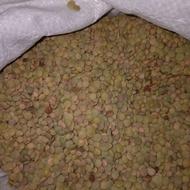 عدس عالی و درجه یک