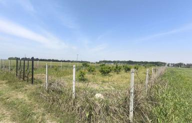 زمین باغی محصور شده