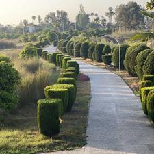 فروش ویلا 620 متری خیابان فرد در شهرک دریاکنار