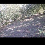 فروش باغ فندق وزمین کنار جاده اصلی آسفالته