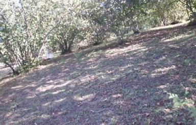 فروش باغ فندق وزمین کنار جاده اصلی آسفالته