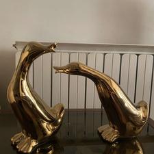 مجسمه مرغابی هار پاتharpat