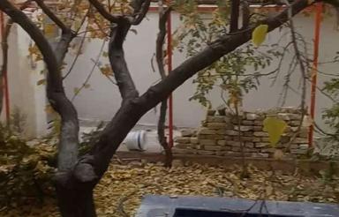 90 متر همکف خیابان 22 بهمن