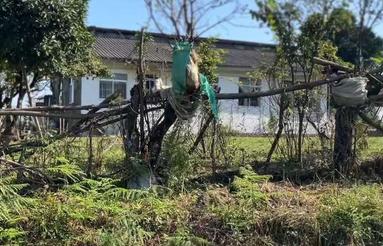 1500 متر زمین داخل طرح در گیسوم پره سر