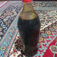 دشو خرمالو جنگلی