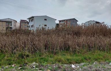 فروش زمین مسکونی در خیابان حکیم نظامی غربی کوی نجاتی