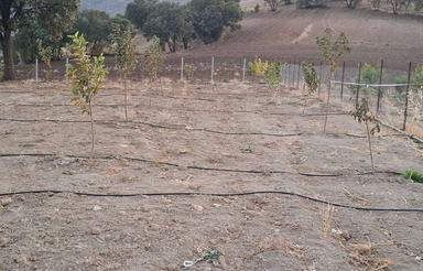 فروش‌فوری‌زمین