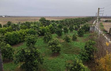 زمین شهرکی 500 متری «ساخت ویلا »