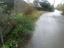 فروش زمین مسکونی 240 متری در حسن سرا در شیپور