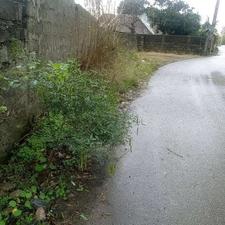 فروش زمین مسکونی 240 متری در حسن سرا