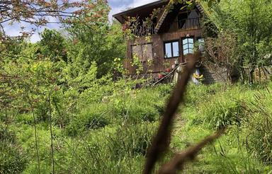 کلبه جنگلی با ظرفیت 15 نفر مازندران بابلکنار