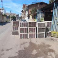 دارین فروشی کولر پنجره ای بالاترین قیمت