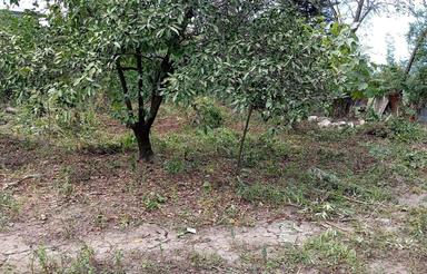 فروش ملک مسکونی