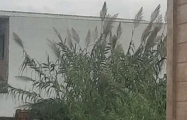 زمین 110 متری کاربری مسکونی