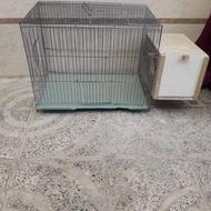 قفس پرنده بالونه