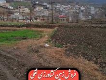زمین کشاورزی در روستای زیبای سوسرا در شیپور
