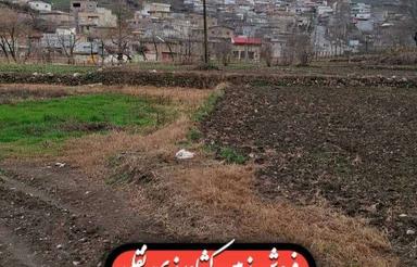 باغچه در روستای زیبای سوسرا