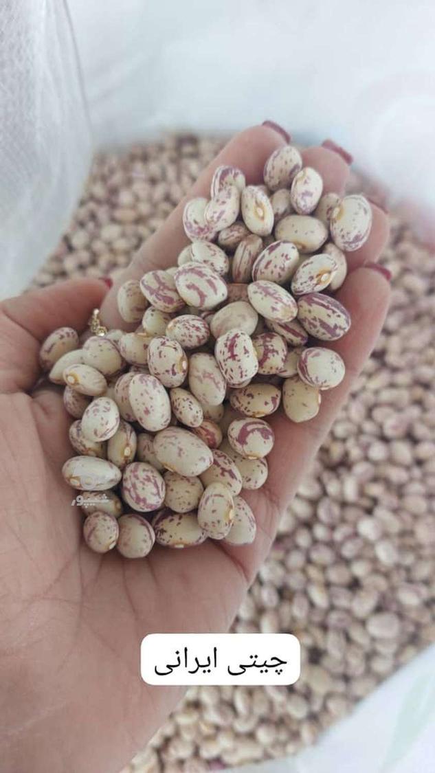 فروش روغن . چای . حبوبات.