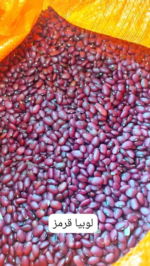 فروش روغن . چای . حبوبات.