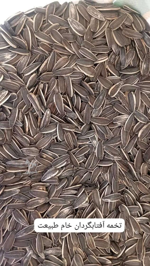 فروش روغن . چای . حبوبات.