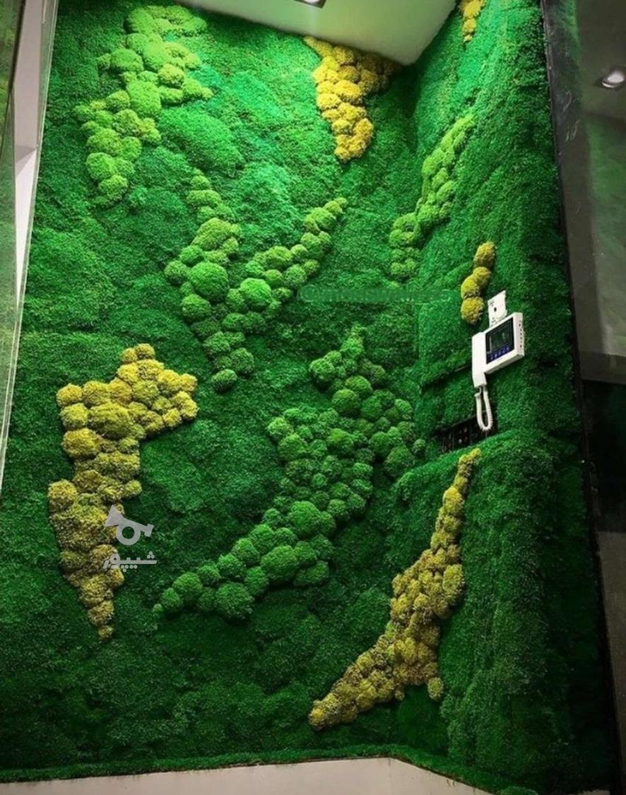 اجرای طرح دیوار سبز