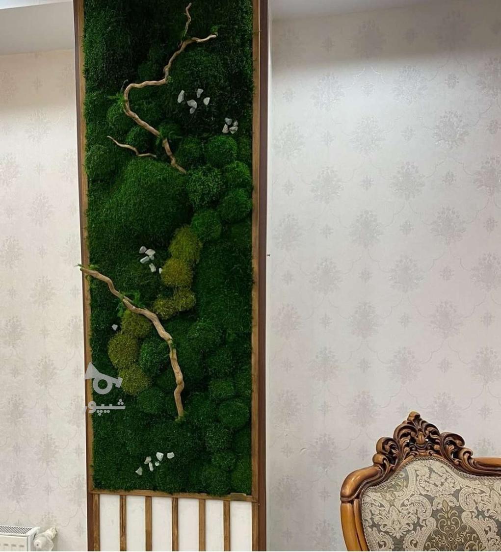 اجرای طرح دیوار سبز