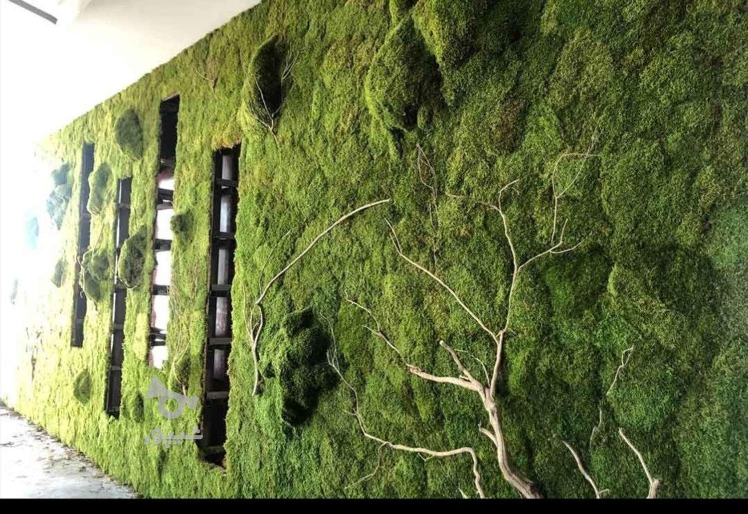 اجرای طرح دیوار سبز