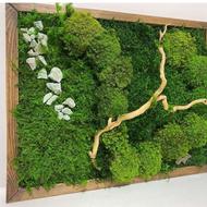 اجرای طرح دیوار سبز