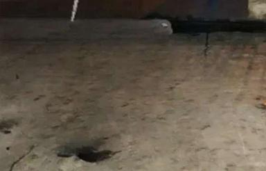 اجاره مغازه بر اصلی کمربندی شرقی