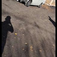 پیکان سواری مدل 83 دور رنگ