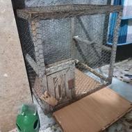 قفس و جفت کن کبوتر به همراه ظرف اب