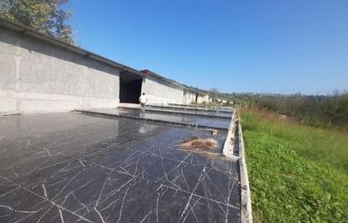 دامداری فروشی واجاره