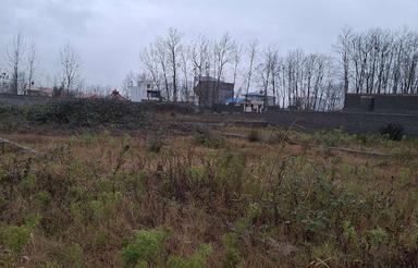 فروش زمین مسکونی 250 متر در ساحلی