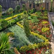 خدمات باغبانی باغچه کاری گل کاری درخت کاری تمام نقاط تهران