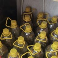 خیار شور خانگی